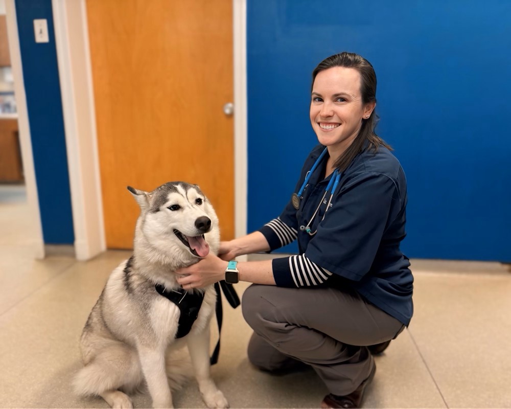 Veterinary Care for Dogs including Preventative Wellness Care